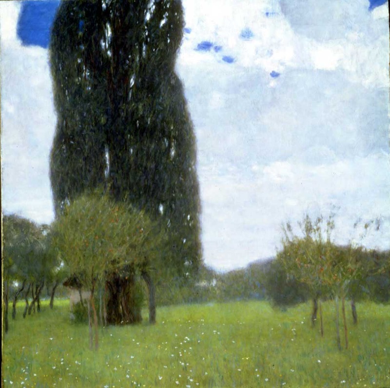 Gustav Klimt,The Tall Poplar Tree I, 1900 (SAAL V)
